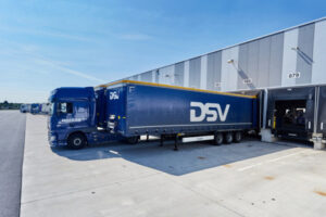 dsv-2