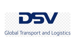 dsv logo