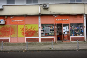 gavranović vajdin vijenac